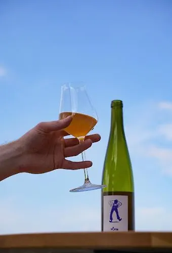 Miranove Montpellier